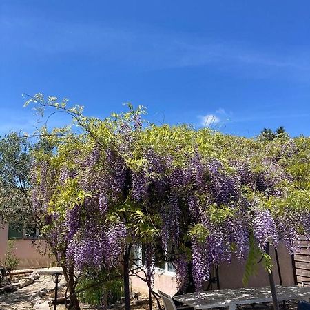 Le Clos Des Olivettes Sainte-Croix-de-Quintillargues Dış mekan fotoğraf