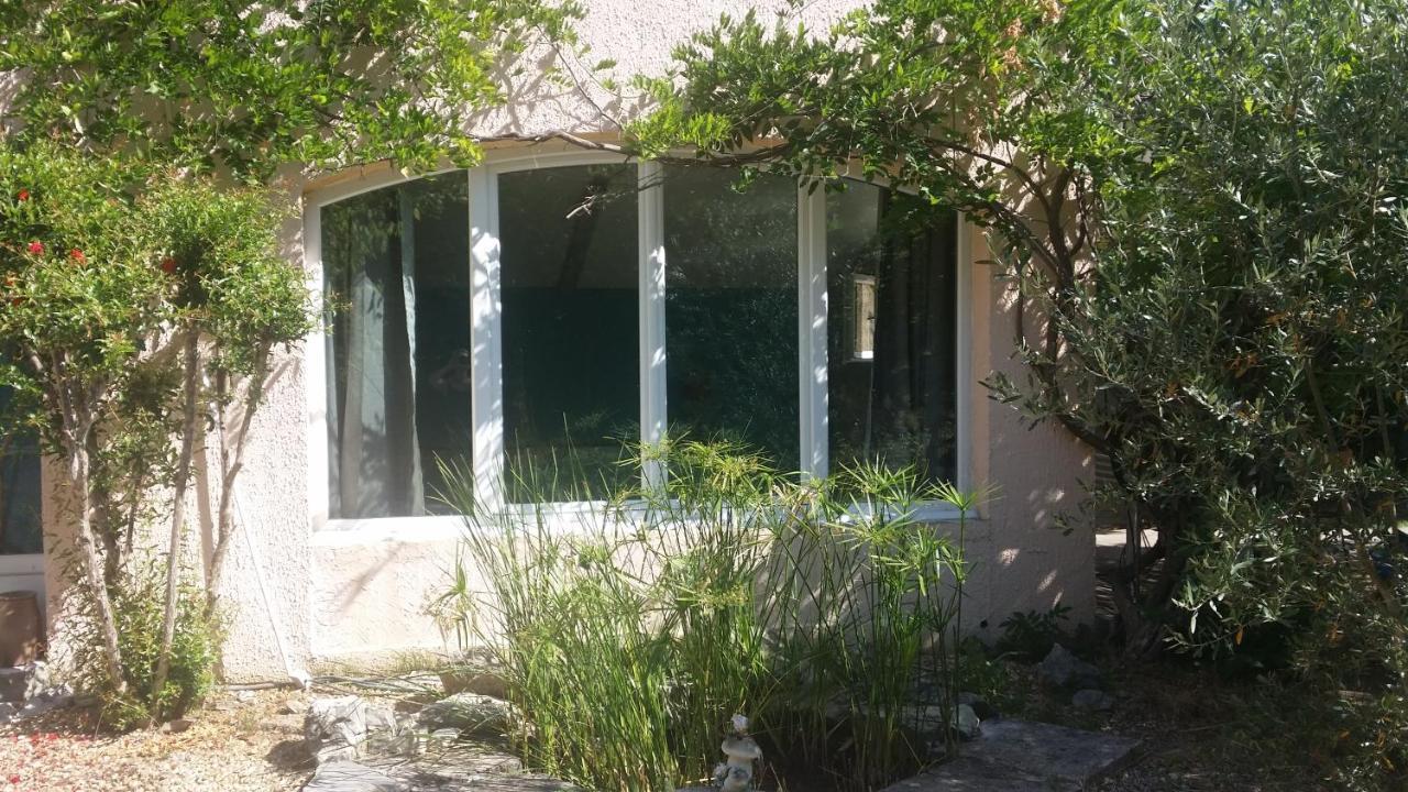 Le Clos Des Olivettes Sainte-Croix-de-Quintillargues Dış mekan fotoğraf