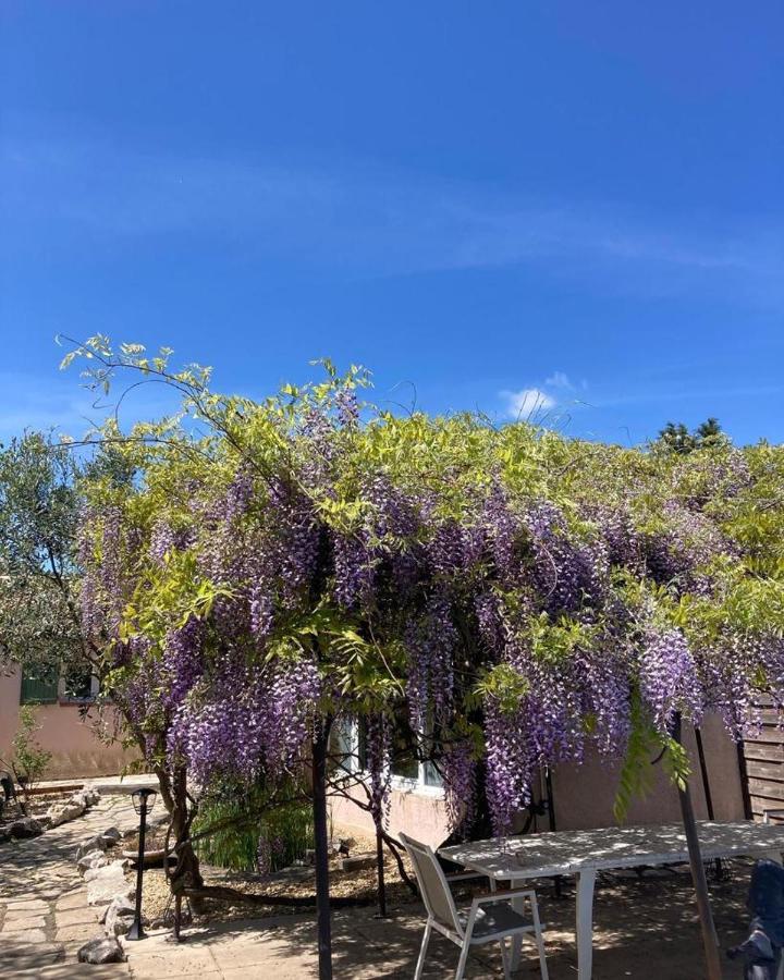 Le Clos Des Olivettes Sainte-Croix-de-Quintillargues Dış mekan fotoğraf