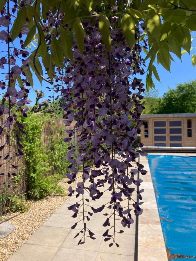 Le Clos Des Olivettes Sainte-Croix-de-Quintillargues Dış mekan fotoğraf